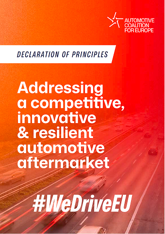 Declaration of principles